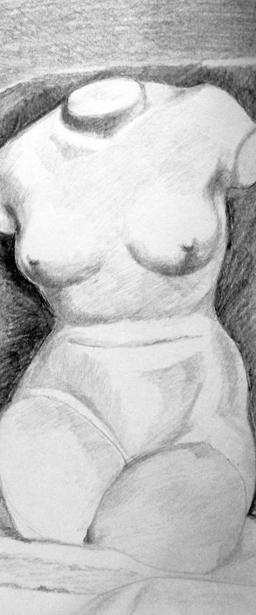 A study of a Nude Torso Cast by Asha Shenoy