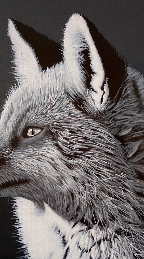 Fox by Barry Gray