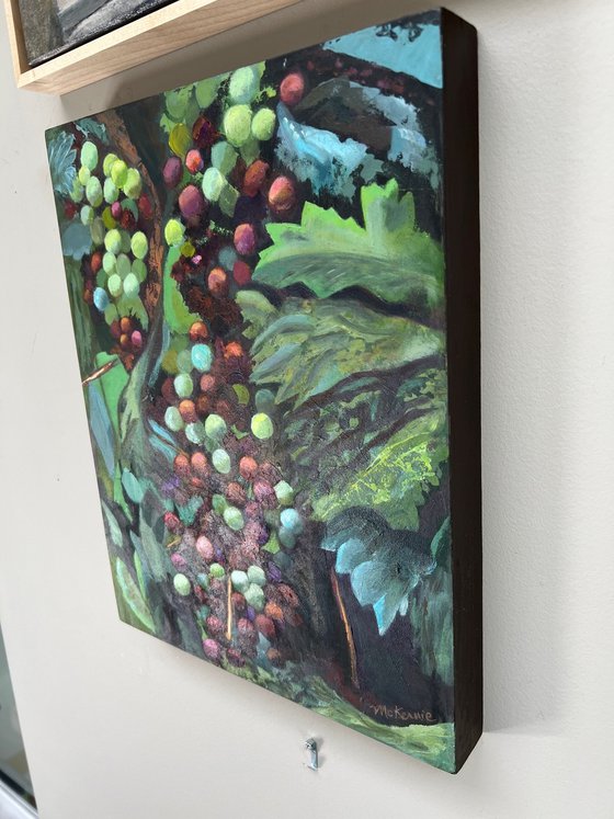 Veraison