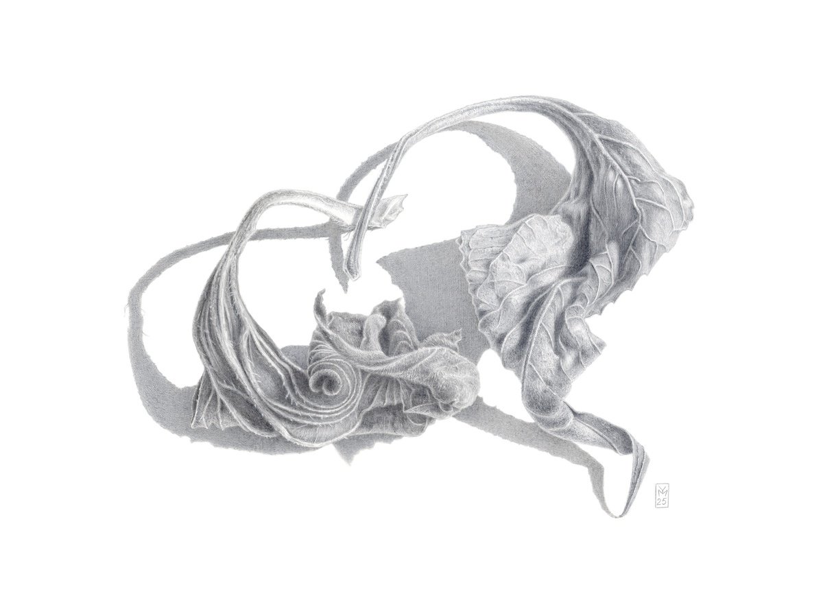 Graphic Drawing , Dry Heart Silverpoint By Yuliia Moiseieva, 15 X 11, Artwork For Sale On Artfinder