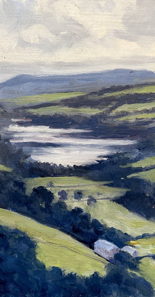 View Over Gouthwaite Reservoir by Andrew Moodie