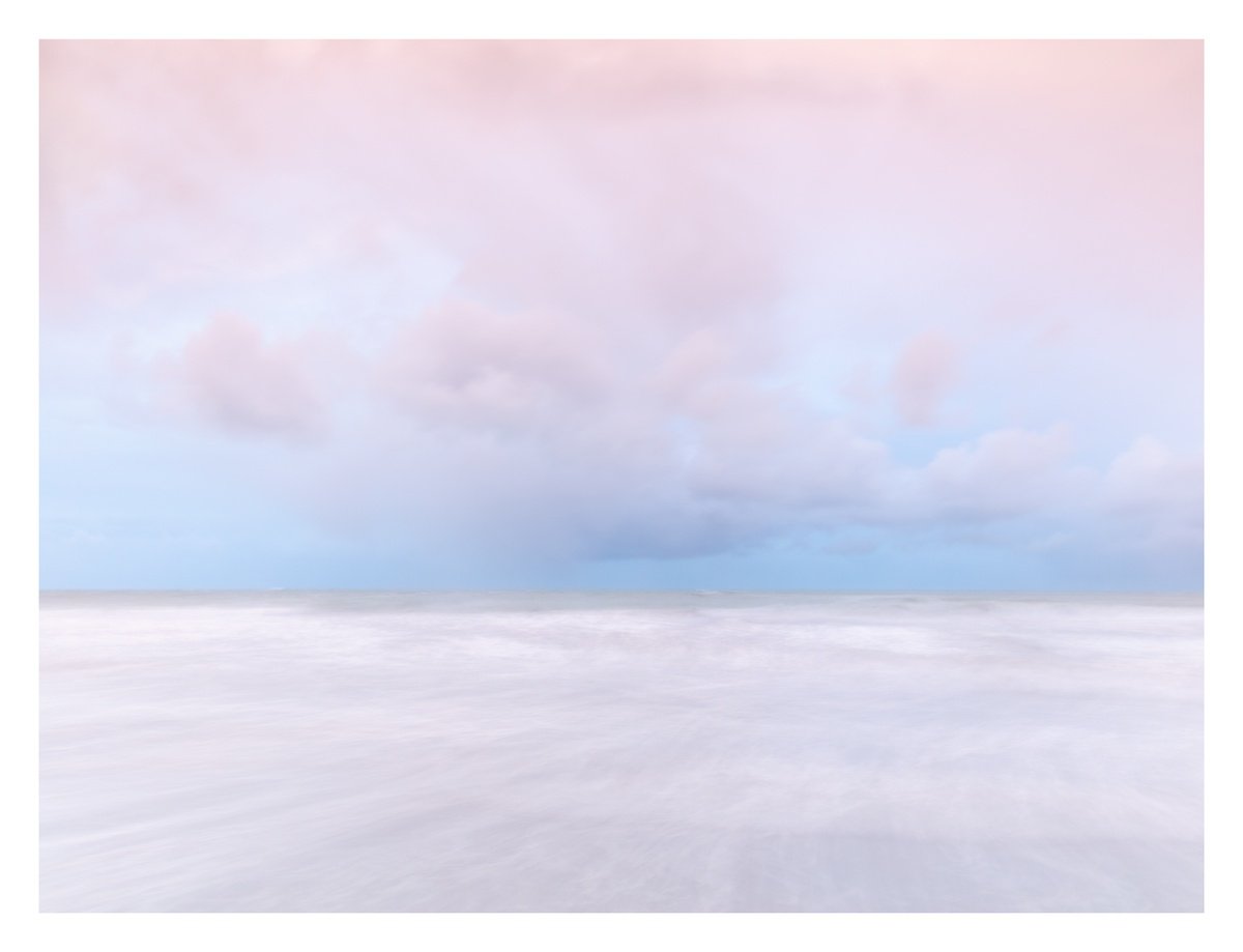 Sea Pinks I by David Baker