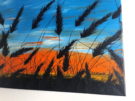 Sunset in the grass