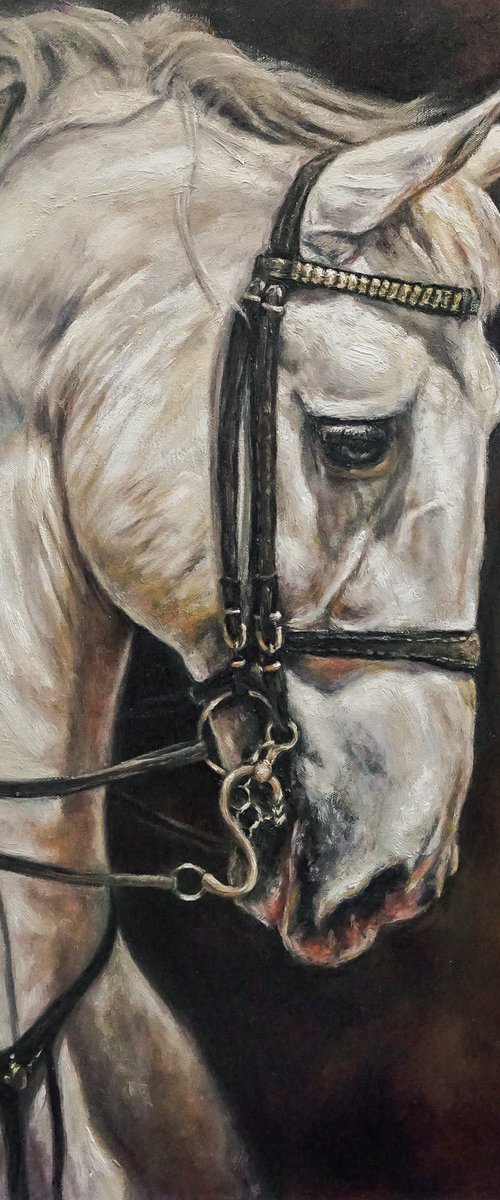 Andalusian-Original Horse Portrait by Sabbi Gavrailov