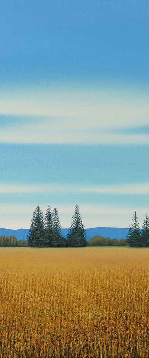 Golden Vista - Blue Sky Landscape by Suzanne Vaughan