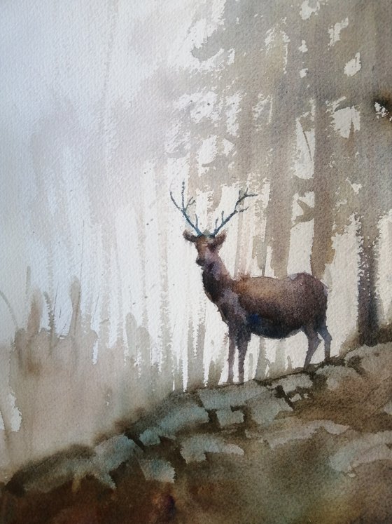 deer 9