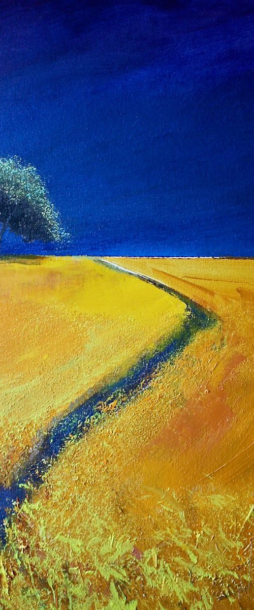 Solaris Dreamfields V by Simon Jones