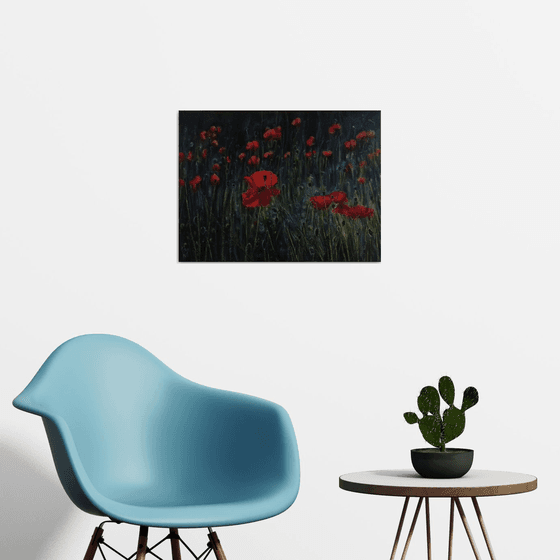 Red poppy field