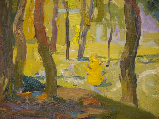 Trees in October