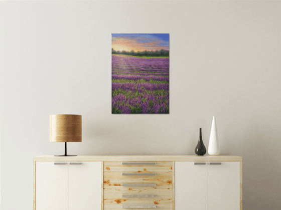 Sunrise on the lavender field