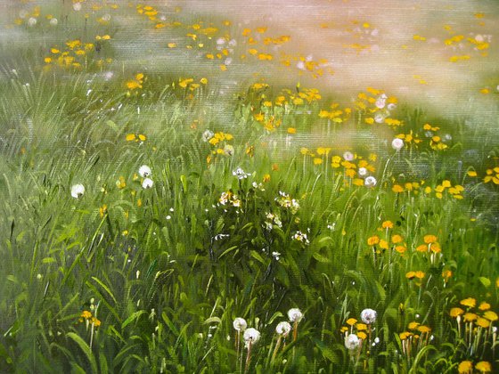 Misty Meadow at Sunrise