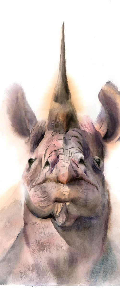 Rhino portrait by Olga Tchefranov (Shefranov)