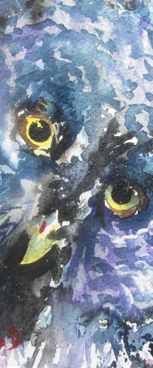 The Blue Owl by Violeta Damjanovic-Behrendt