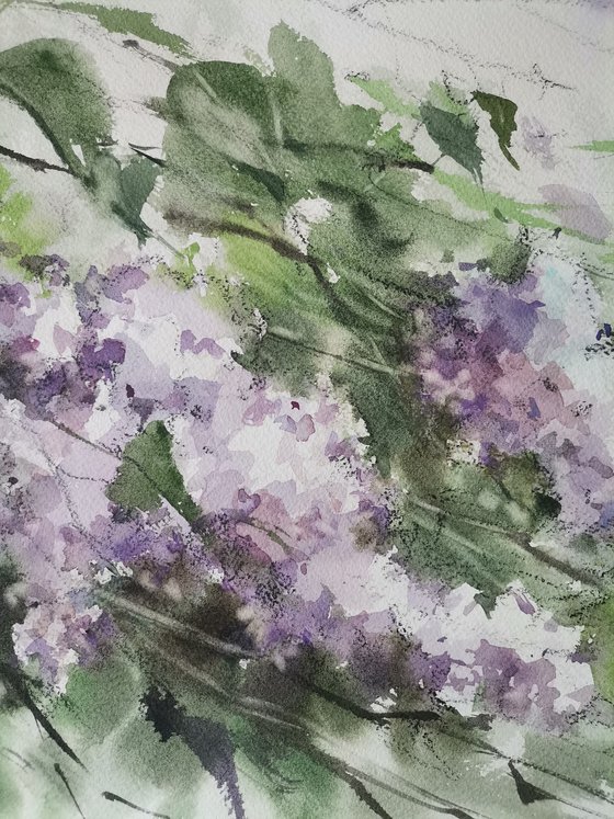 Wind in the lilac bushes