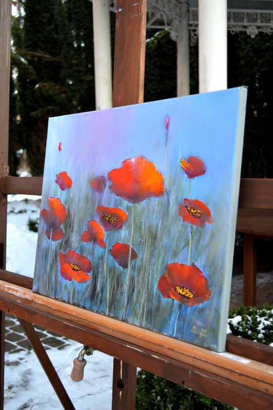 Poppies in the fog