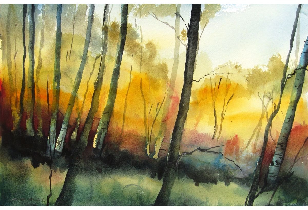 Wilderness Colors - Original Watercolor Painting by CHARLES ASH