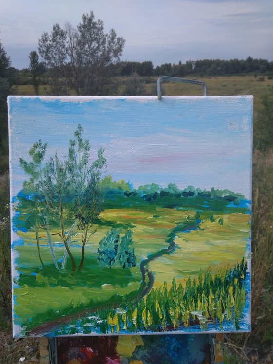 A trail through the meadow. Pleinair painting