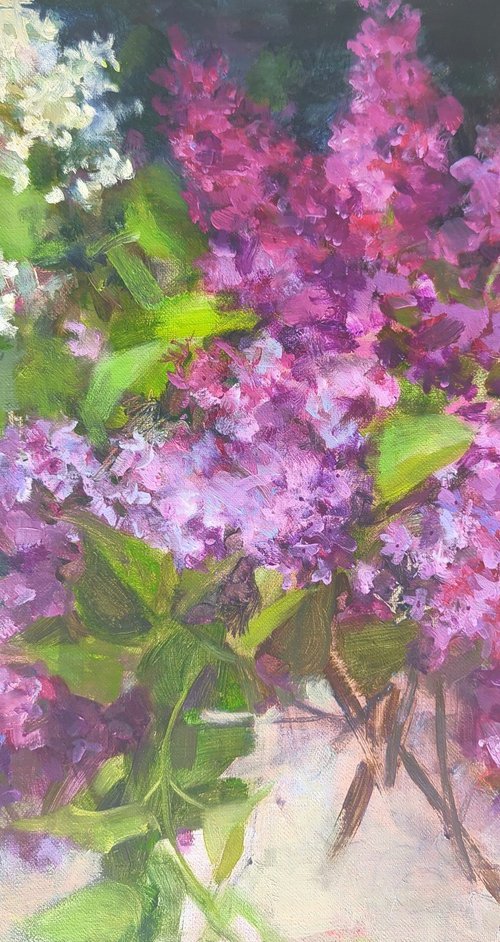Lilacs by Silja Salmistu