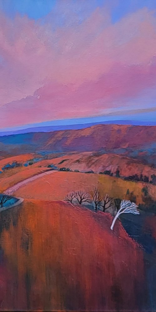 Outback Treetops at Dusk by Sandra Michele Knight
