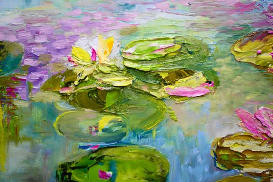 Blooming Waterlilies