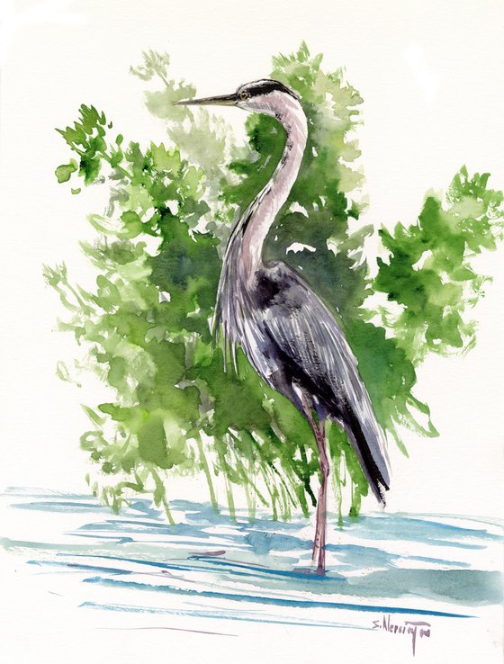 Blue Heron