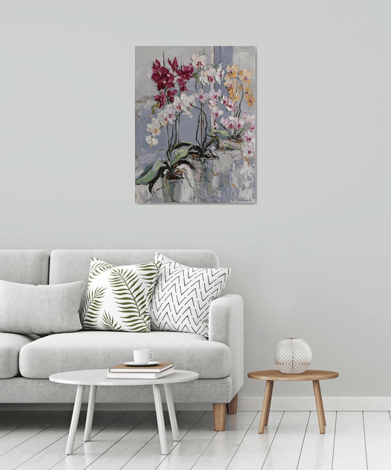 Blooming Colorful Orchids