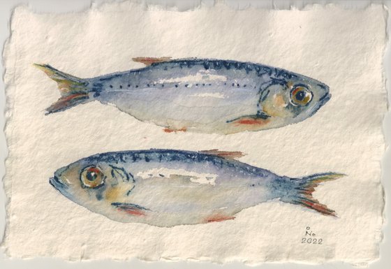 Two herrings