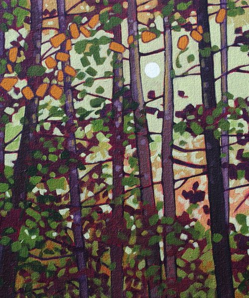 Light Through the Woods by Sage Mountain Studio