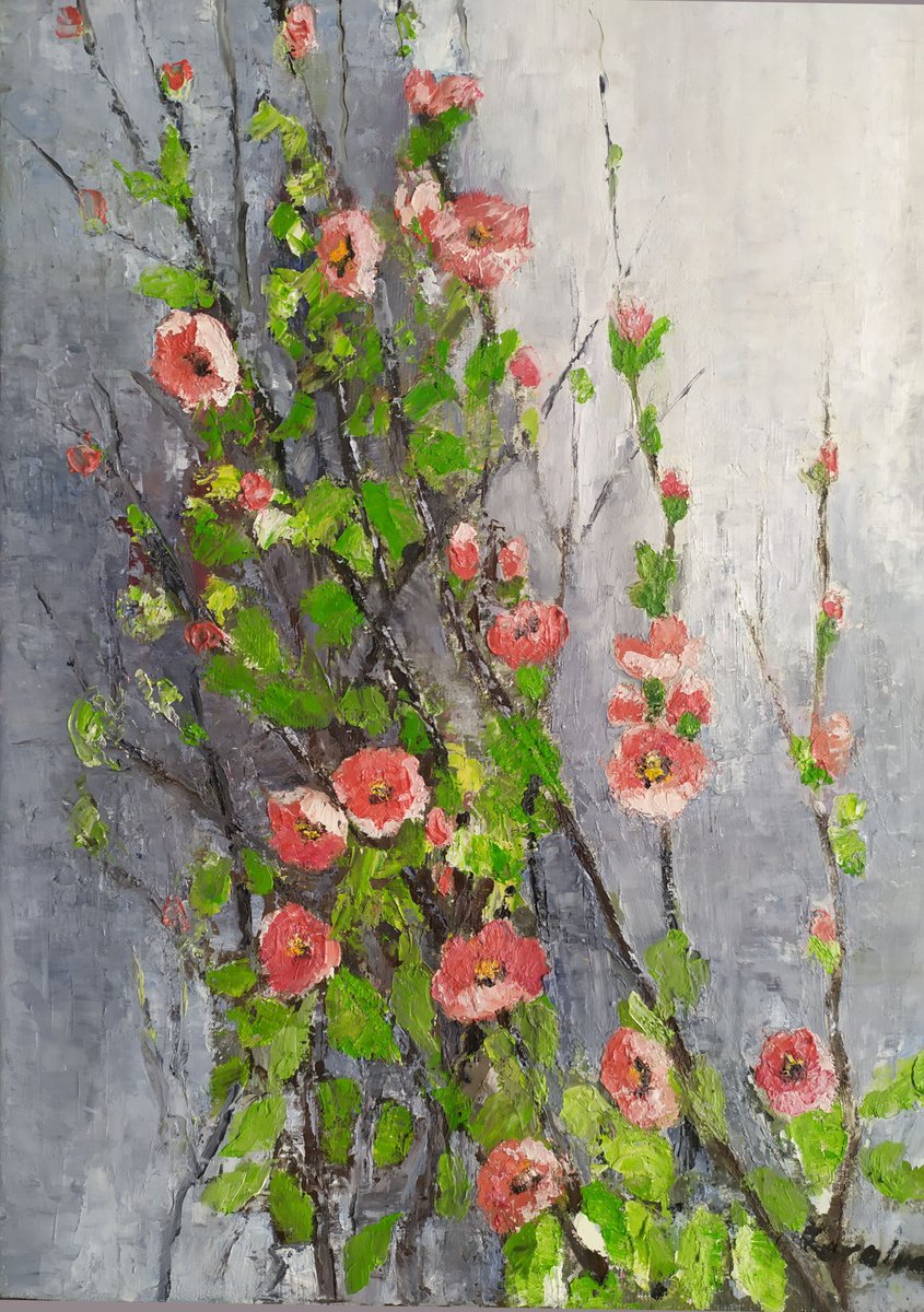 Flowering Japanese quince branches by Maria Karalyos