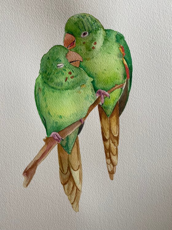 Parrots in love