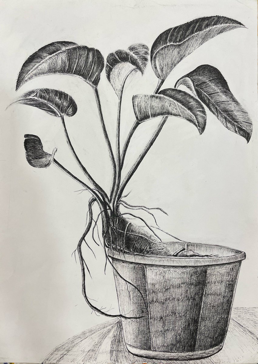 Impressionistic Botanical Ink Drawing By Neha Soni, 11 X 17", Foliage, Original Artwork
