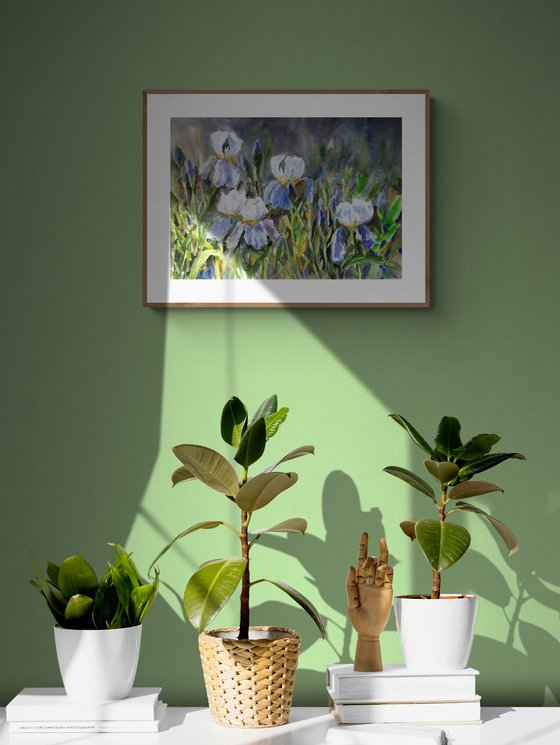 Twilight Irises