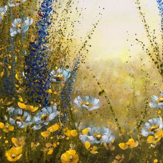 Summer Flower Meadow at Sunrise