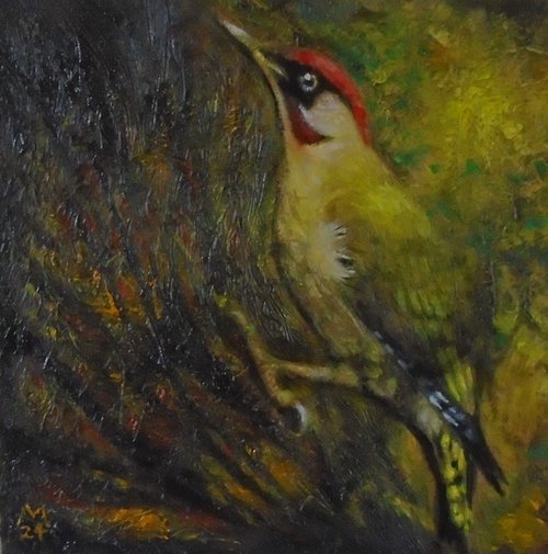 Green Woodpecker by Michael Mullen