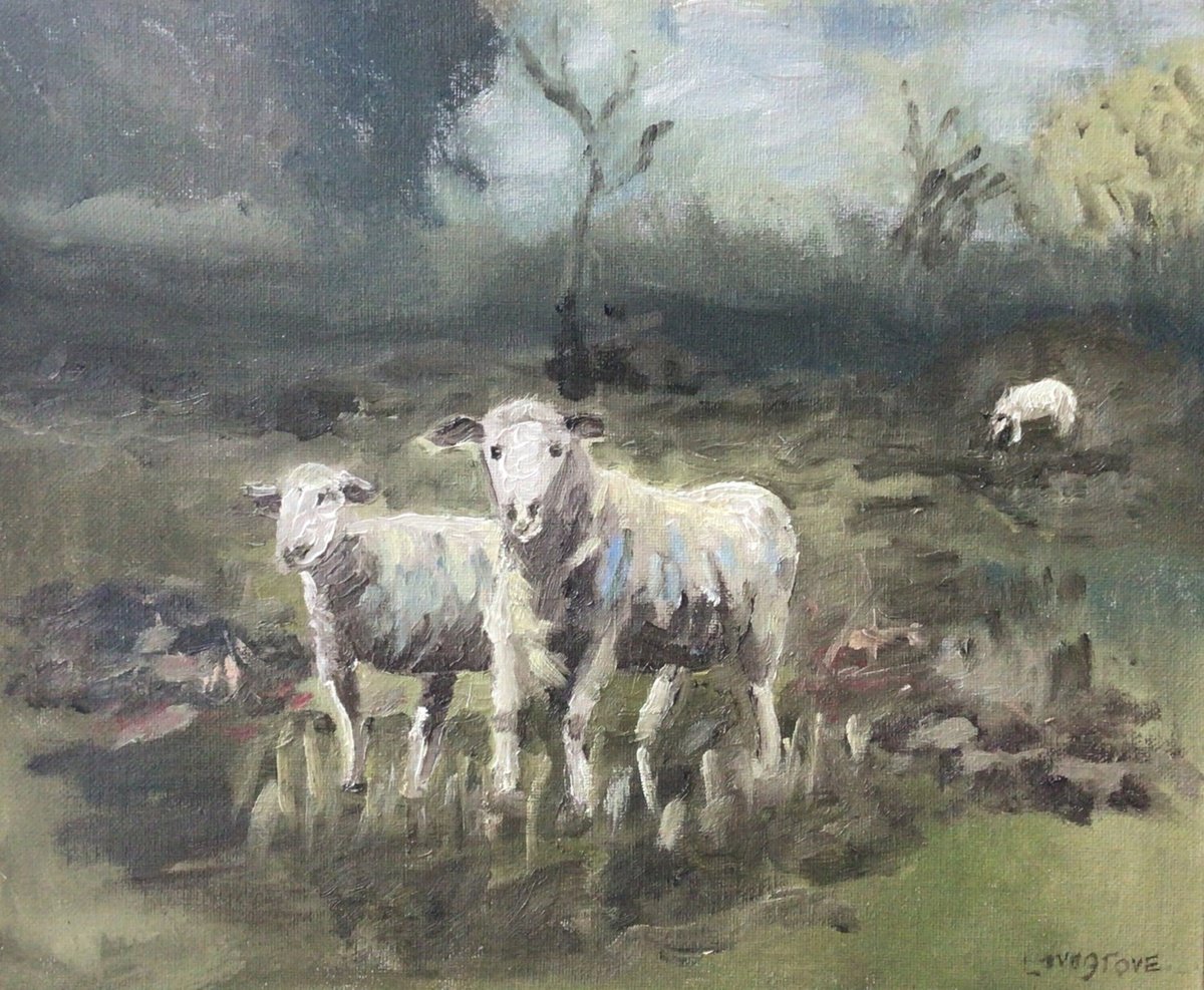 Impressionistic Animal Oil Painting By Julian Lovegrove Art, 12 X 10", Sheep In A Paddock, Original Artwork