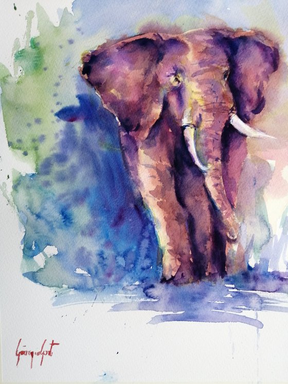 elephant 12