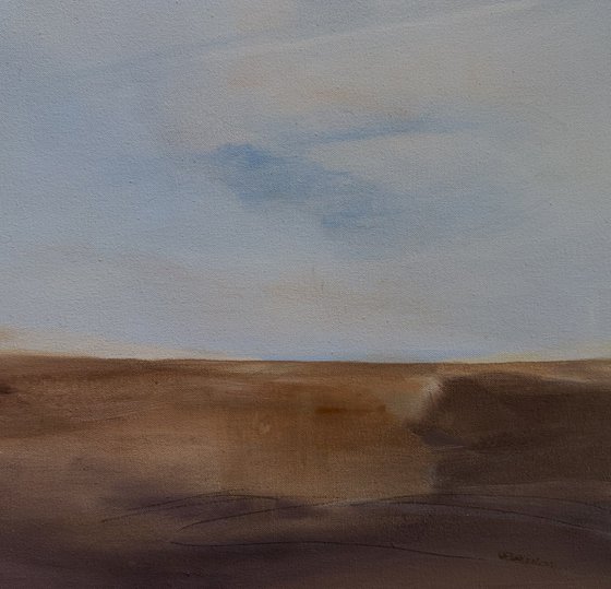 Desert Horizon