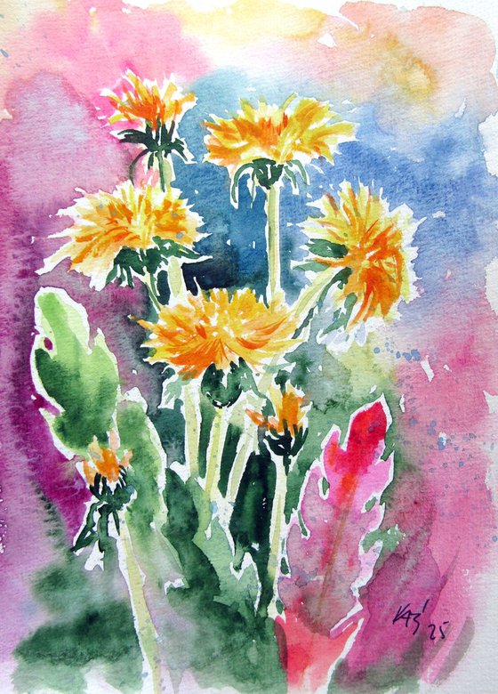 Dandelions