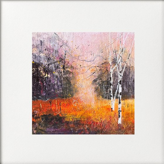 Colours of Autumn, Silver Birches