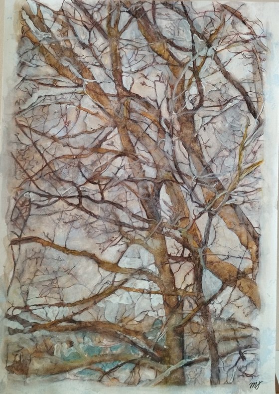 Narva Trees