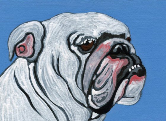 ACEO ATC Original Miniature Painting White English Bulldog Pet Dog Art-Carla Smale