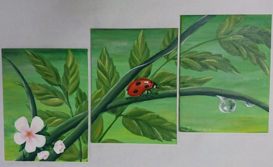 Ladybug. Triptych