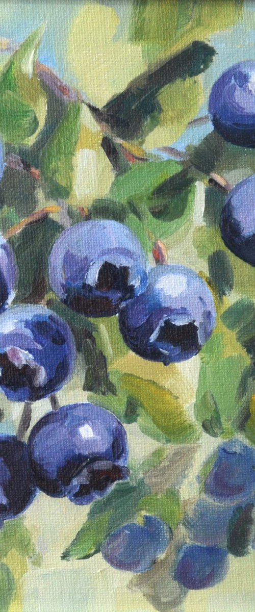 Blueberries on green by Yulia Evsyukova