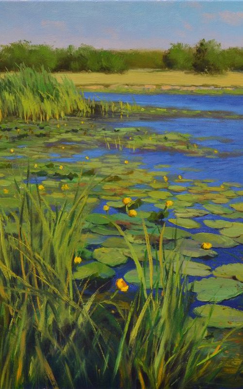 Creek with water lilies by Ruslan Kiprych