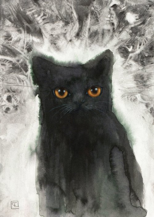 DARK CAT by Eva Fialka