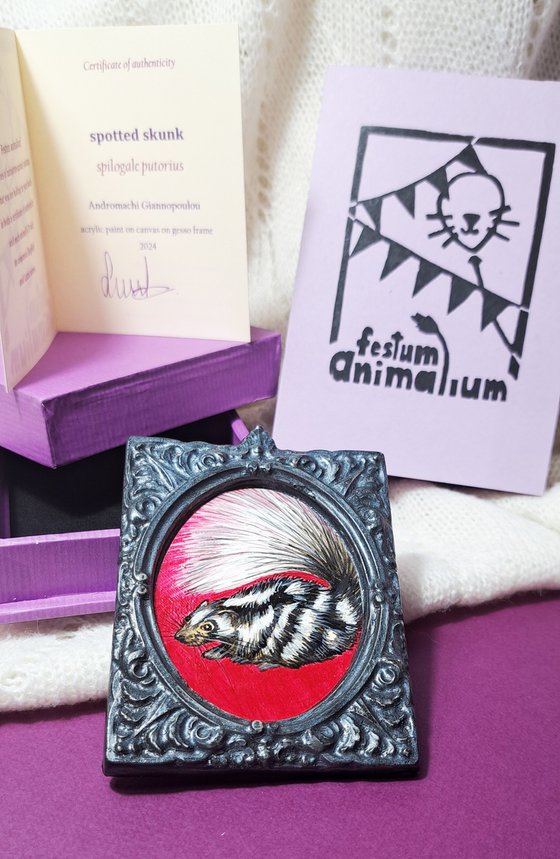 Spotted skunk, part of framed animal miniature series "festum animalium"