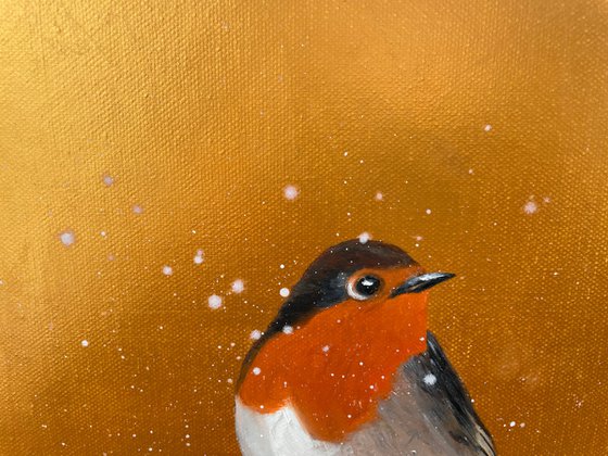 Red Robin in the Snow