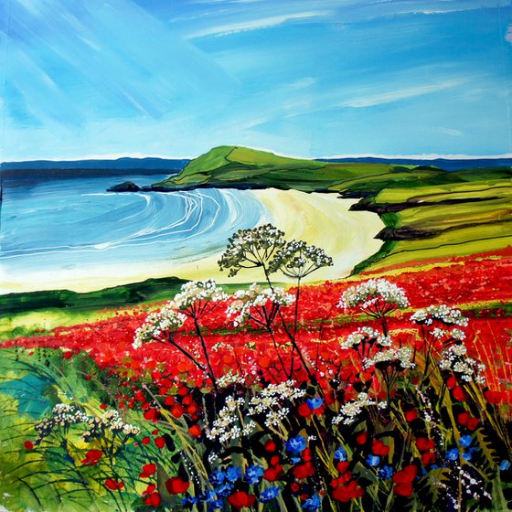 Poppies, West Pentire