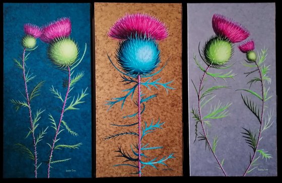 Scotch Thistles