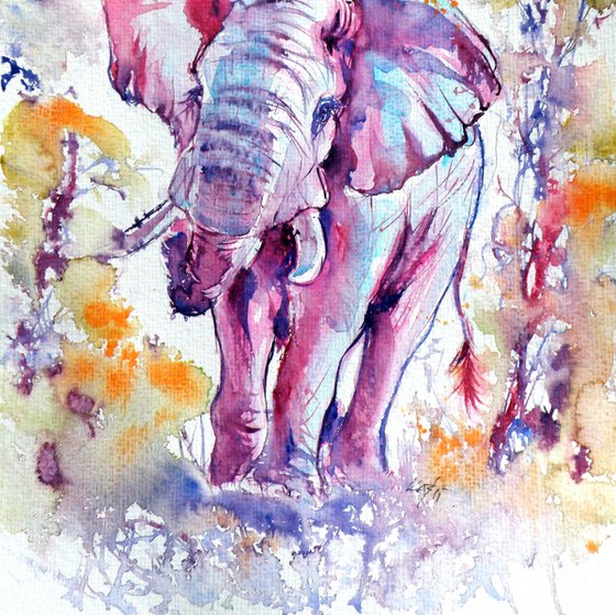 Elephant II